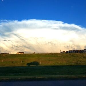 Meet your Posher, Yellowdoor